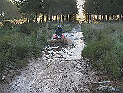 Quad rijden in Elgin valley - rustig door de plassen