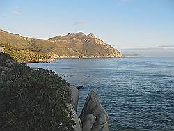 Chapman's Peak drive