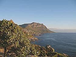 Chapman's Peak drive