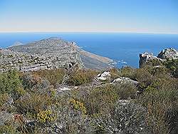 Tafelberg