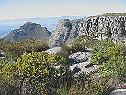 Tafelberg