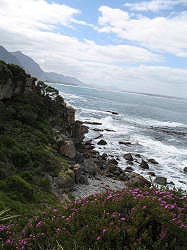 Hermanus