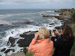 Hermanus - er worden hier veel foto's gemaakt