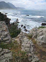 Hermanus