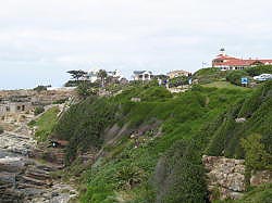 Hermanus