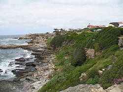 Hermanus