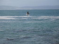 Hermanus - springende walvis