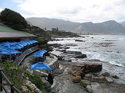 Hermanus