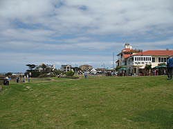 Hermanus