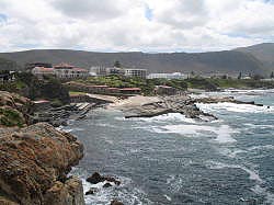 Hermanus