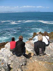 Hermanus - walvissen kijken is hier erg populair