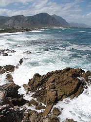 Hermanus