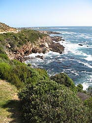 Hermanus - langs de kust tussen Hermanus en Gordon Bay