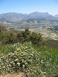 Wijngebied - Franschhoek pas; uitzicht over het plaatsje Franschhoek