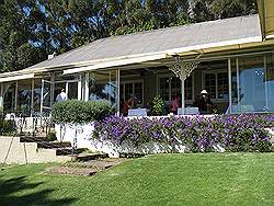 Wijngebied - Restaurant La Petite Ferme in Franschhoek