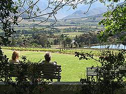 Wijngebied - Restaurant La Petite Ferme in Franschhoek