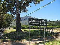 Wijngebied - wijnhuis Rustenberg