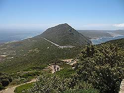 Natuurpark 'Kaap de Goede Hoop' - Cape Point