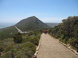 Natuurpark 'Kaap de Goede Hoop' - Cape Point