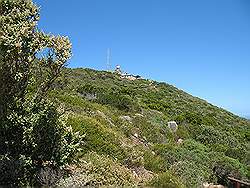 Natuurpark 'Kaap de Goede Hoop' - Cape Point