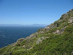 Natuurpark 'Kaap de Goede Hoop' - Cape Point