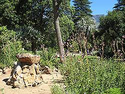 Kaapstad - VOC tuinen