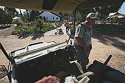Safari - gids en chauffeur Alwyn