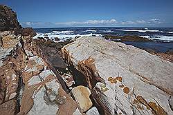 Natuurpark 'Kaap de Goede Hoop' - Kaap de Goede Hoop