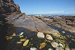 Natuurpark 'Kaap de Goede Hoop' - Kaap de Goede Hoop