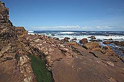 Natuurpark 'Kaap de Goede Hoop' - Kaap de Goede Hoop