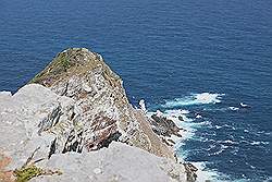 Natuurpark 'Kaap de Goede Hoop' - Cape Point