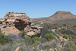 Kagga Kamma