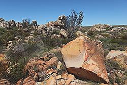 Kagga Kamma