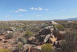 Kagga Kamma