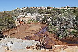 Kagga Kamma