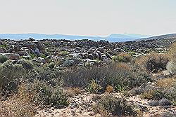 Kagga Kamma