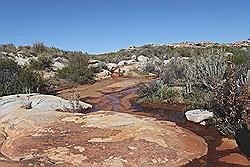 Kagga Kamma