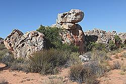 Kagga Kamma