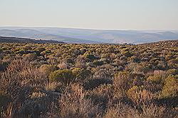 Kagga Kamma