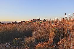 Kagga Kamma - avond gamedrive; mooie kleuren door de zonsondergang