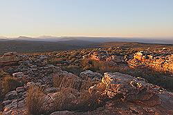 Kagga Kamma - avond gamedrive; mooie kleuren door de zonsondergang