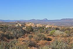 Kagga Kamma