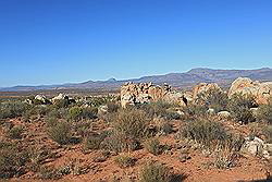 Kagga Kamma