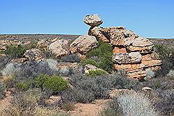 Kagga Kamma