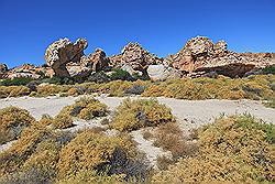 Kagga Kamma