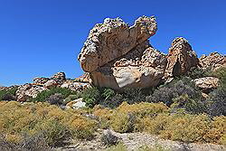 Kagga Kamma