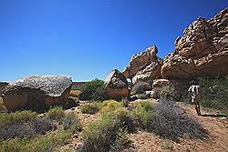 Kagga Kamma