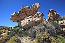 Kagga Kamma