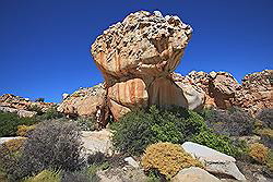 Kagga Kamma