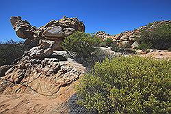 Kagga Kamma